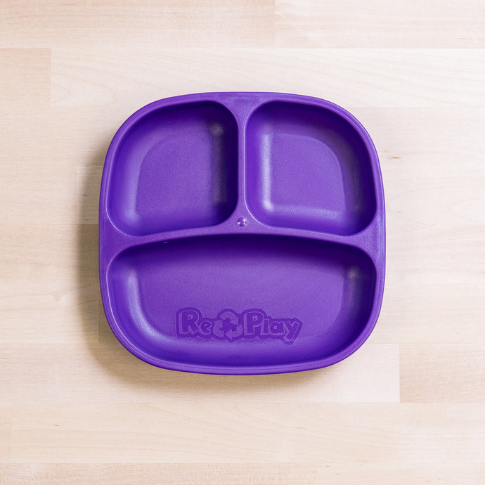 Re-Play Divider Plate- Amethyst