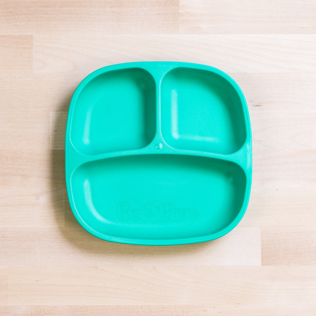 Re-Play Divider Plate- Aqua