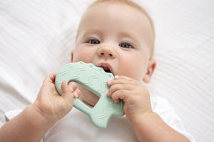 Flat Rubber Crocodile Zoo Teether- Tikiri