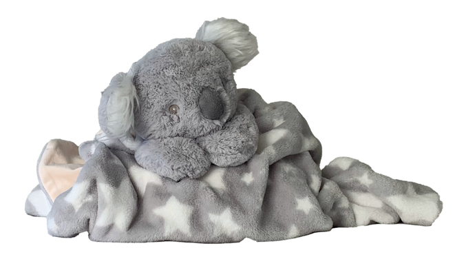 Cutesy Wootsy- Coral the Koala