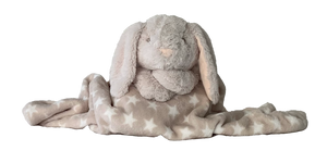 Cutesy Wootsy- Sebastian the Bunny