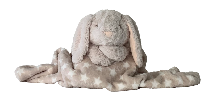 Cutesy Wootsy- Sebastian the Bunny